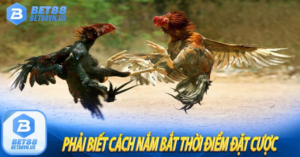 Cần biết cách nắm bắt thời điểm đặt cược 